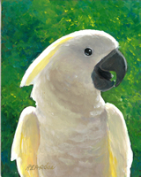 Tiki