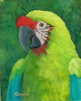 Margarita