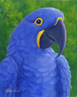 Blu