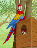Tiki